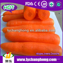 2014 Nueva zanahoria del cultivo de China 10kg / ctn